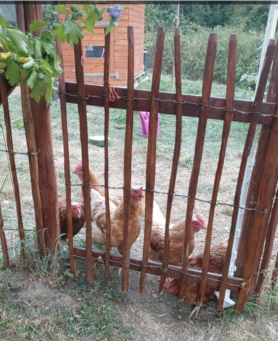 Sometimes Zimmer Gehaichnishof 7Born Maring-Noviand ภายนอก รูปภาพ